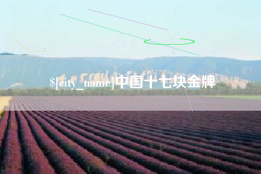 梅河口中国十七块金牌