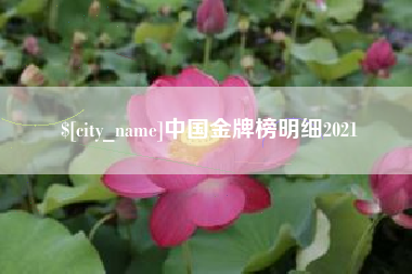 梅河口中国金牌榜明细2021
