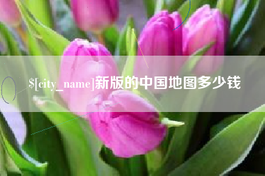 梅河口新版的中国地图多少钱