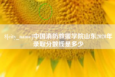 梅河口中国消防救援学院山东2020年录取分数线是多少