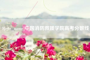 梅河口中国消防救援学院高考分数线
