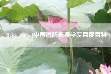 梅河口中国消防救援学院百度百科