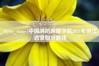 梅河口中国消防救援学院2021年浙江省录取分数线