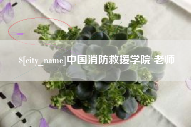 梅河口中国消防救援学院 老师