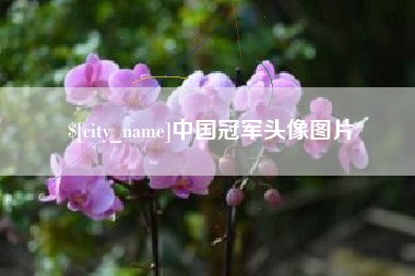 梅河口中国冠军头像图片