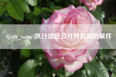 梅河口执行信息公开网查到的案件