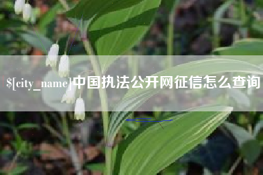 梅河口中国执法公开网征信怎么查询