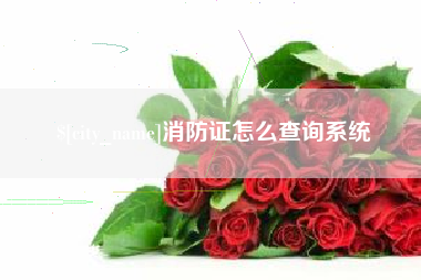梅河口消防证怎么查询系统