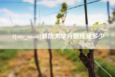 梅河口消防大学分数线是多少
