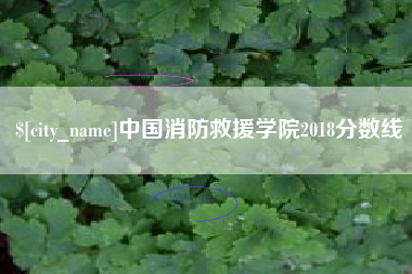 梅河口中国消防救援学院2018分数线