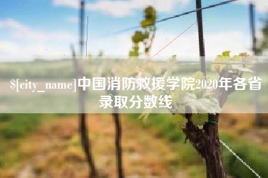 梅河口中国消防救援学院2020年各省录取分数线