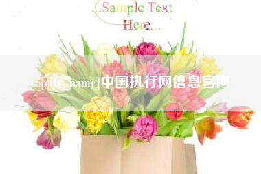 梅河口中国执行网信息官网