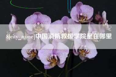 梅河口中国消防救援学院是在哪里
