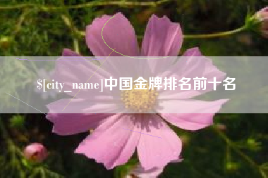 梅河口中国金牌排名前十名