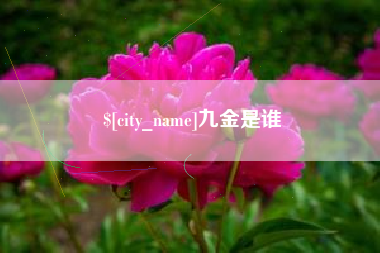 梅河口九金是谁