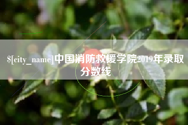 梅河口中国消防救援学院2019年录取分数线
