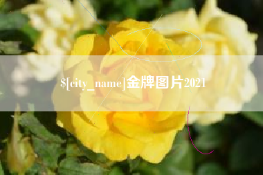 梅河口金牌图片2021