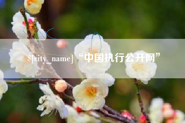 梅河口“中国执行公开网”
