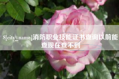 梅河口消防职业技能证书查询以前能查现在查不到