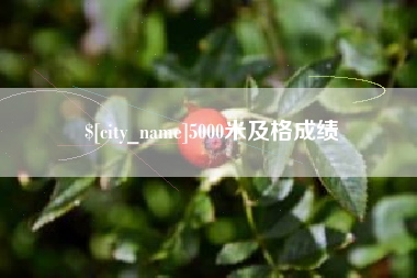 梅河口5000米及格成绩