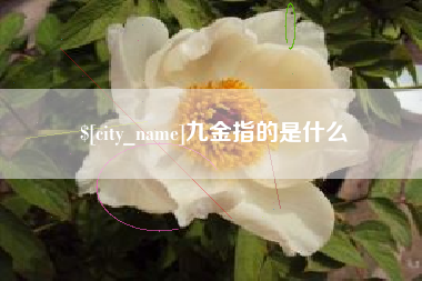 梅河口九金指的是什么