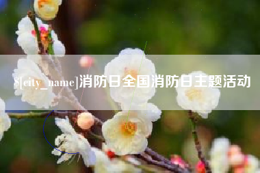 梅河口消防日全国消防日主题活动