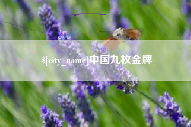 梅河口中国九枚金牌