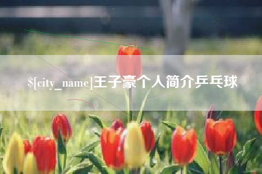 梅河口王子豪个人简介乒乓球