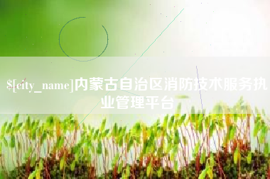 梅河口内蒙古自治区消防技术服务执业管理平台