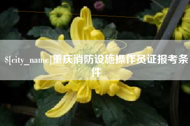 梅河口重庆消防设施操作员证报考条件