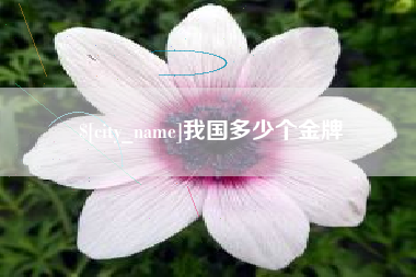 梅河口我国多少个金牌