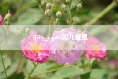 梅河口第九金是