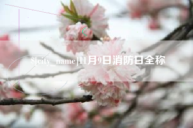 梅河口11月9日消防日全称