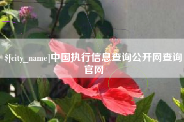 梅河口中国执行信息查询公开网查询官网