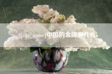 梅河口中国的金牌有几名
