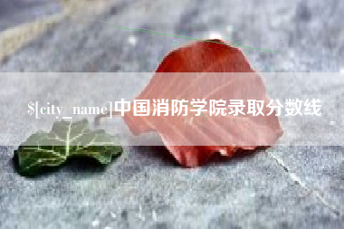 梅河口中国消防学院录取分数线