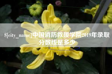 梅河口中国消防救援学院2019年录取分数线是多少