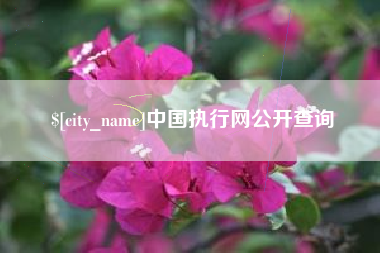 梅河口中国执行网公开查询