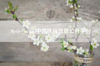 梅河口中国执行信息公开平台