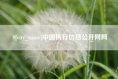 梅河口中国执行信息公开网网
