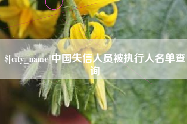 梅河口中国失信人员被执行人名单查询