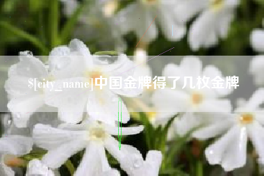 梅河口中国金牌得了几枚金牌