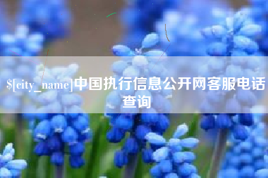 梅河口中国执行信息公开网客服电话查询