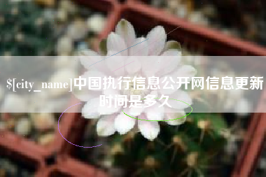 梅河口中国执行信息公开网信息更新时间是多久