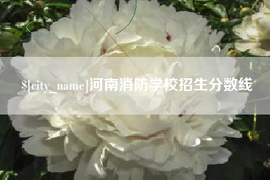 梅河口河南消防学校招生分数线