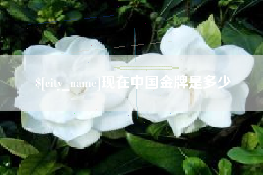 梅河口现在中国金牌是多少