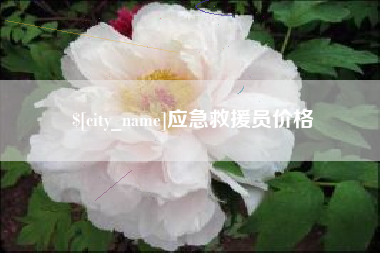 梅河口应急救援员价格