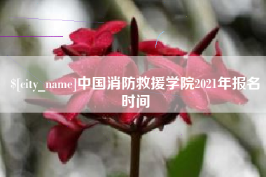梅河口中国消防救援学院2021年报名时间