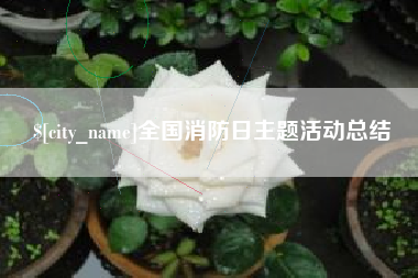 梅河口全国消防日主题活动总结