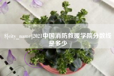 梅河口2021中国消防救援学院分数线是多少
